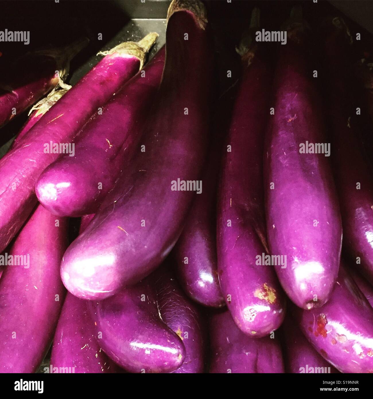 Eggplants by K.R. Stock Photo