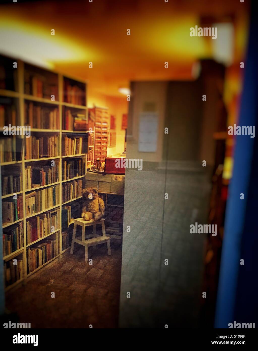View through a window - library and a teddy bear on a small ladder nearby Stock Photo