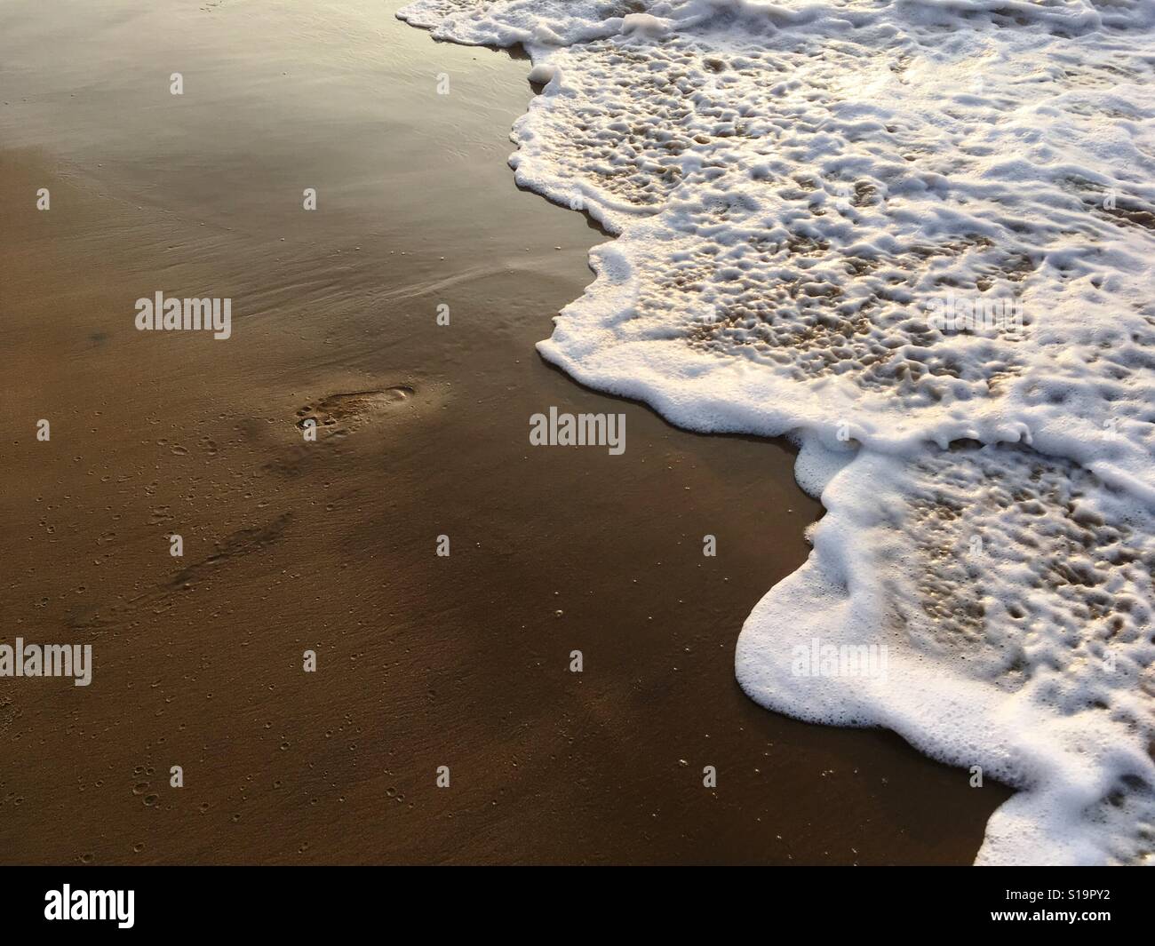 Footprint mark on the sand at seashore Stock Photo