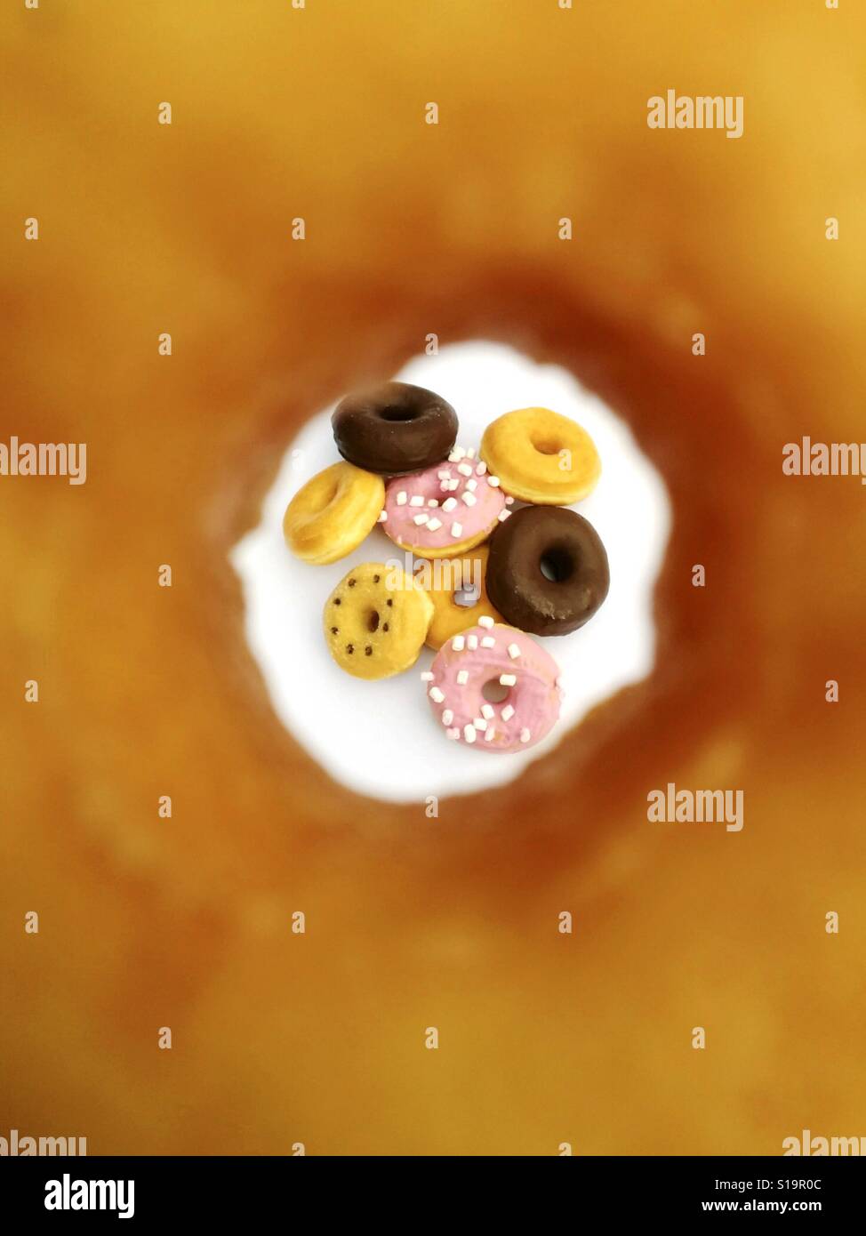 Varied donuts viewed through a donut hole. Stock Photo