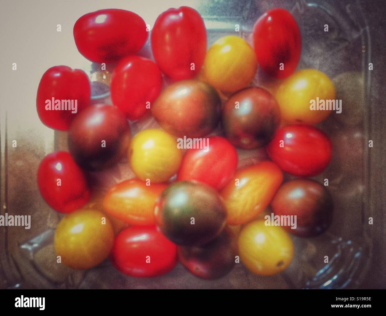 Tomatoes in a plastic packaging - Smartphone Captured Stock Image