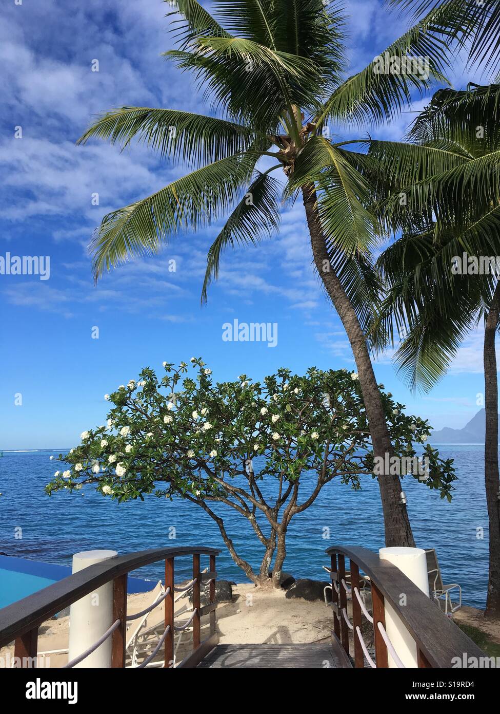 Tahiti nature hi-res stock photography and images - Alamy