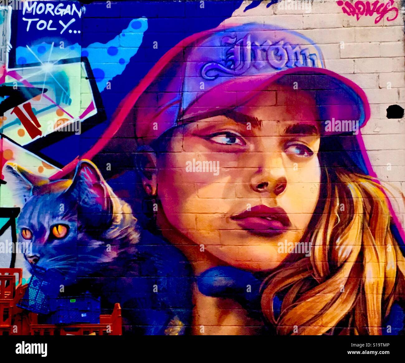Young Women with Cat Street Art Tooting, London - Smartphone Captured Stock Image