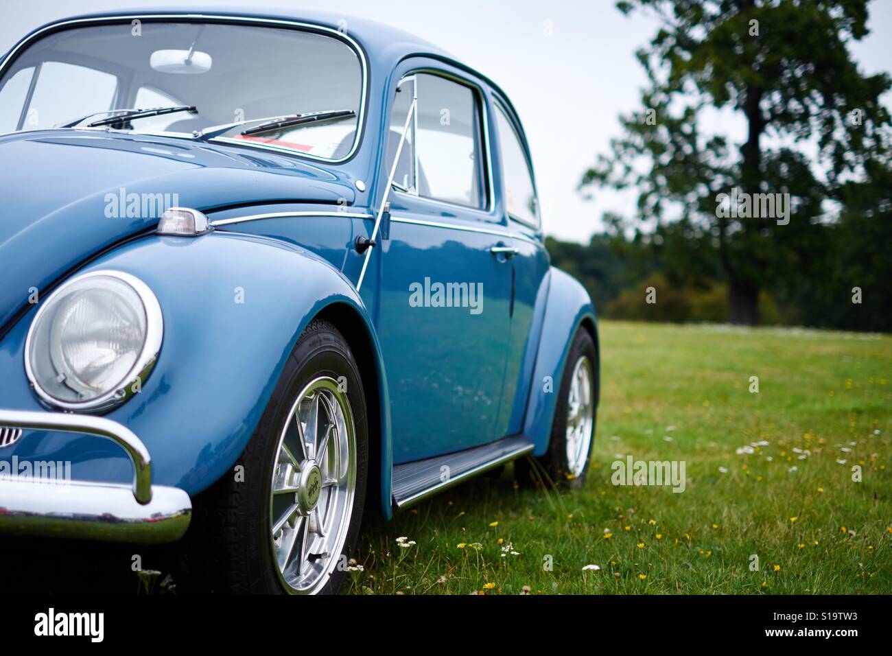 A classic blue Volkswagen Beetle in a green field Stock Photo