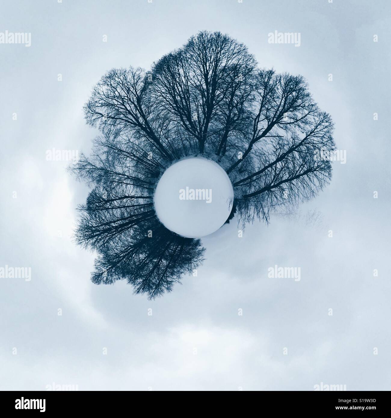 Forest in winter as tiny planet Stock Photo