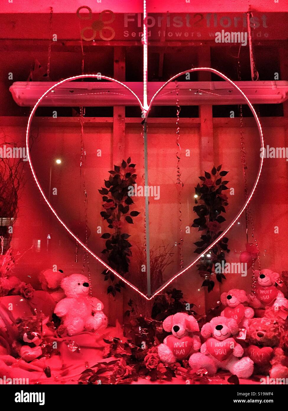 Valentines display in florist shop window. - Smartphone Captured Stock Image