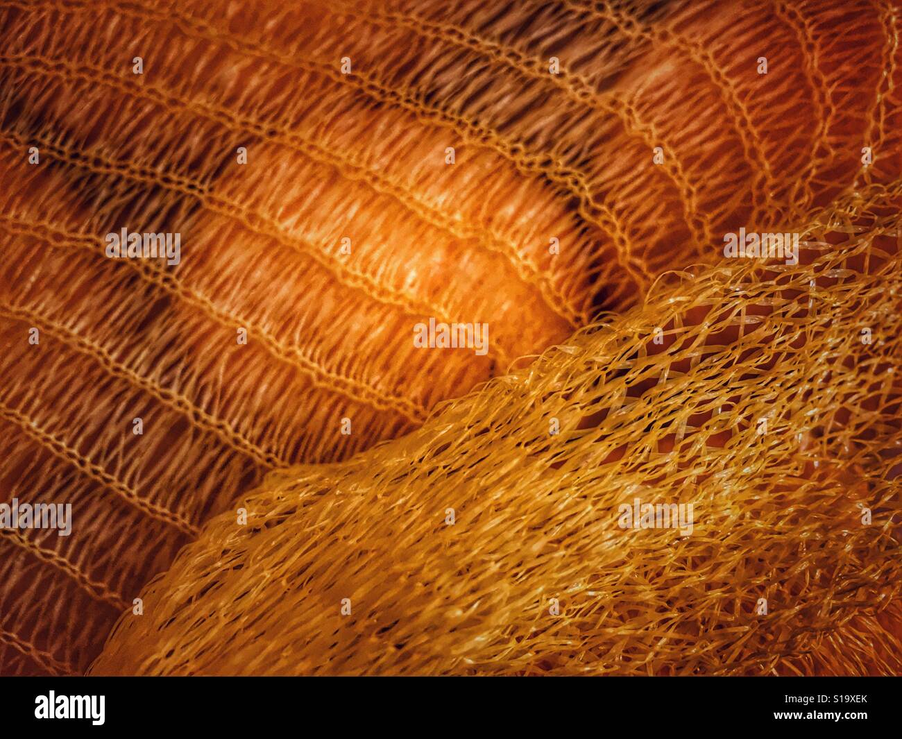 Food packaging. Lemons in a non recyclable net bag - Smartphone Captured Stock Image