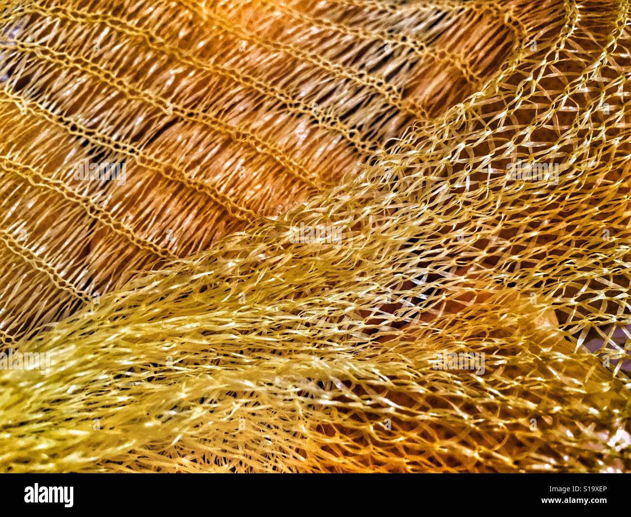 Food packaging. Lemons in a non recyclable plastic mesh bag - Smartphone Captured Stock Image