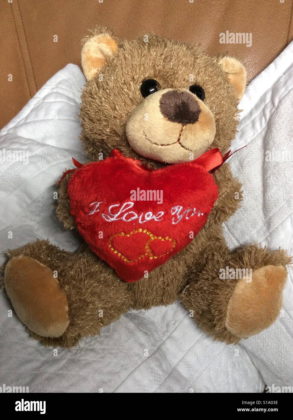I love you teddy hi-res stock photography and images - Alamy I love you teddy hi-res stock photography and images - Alamy