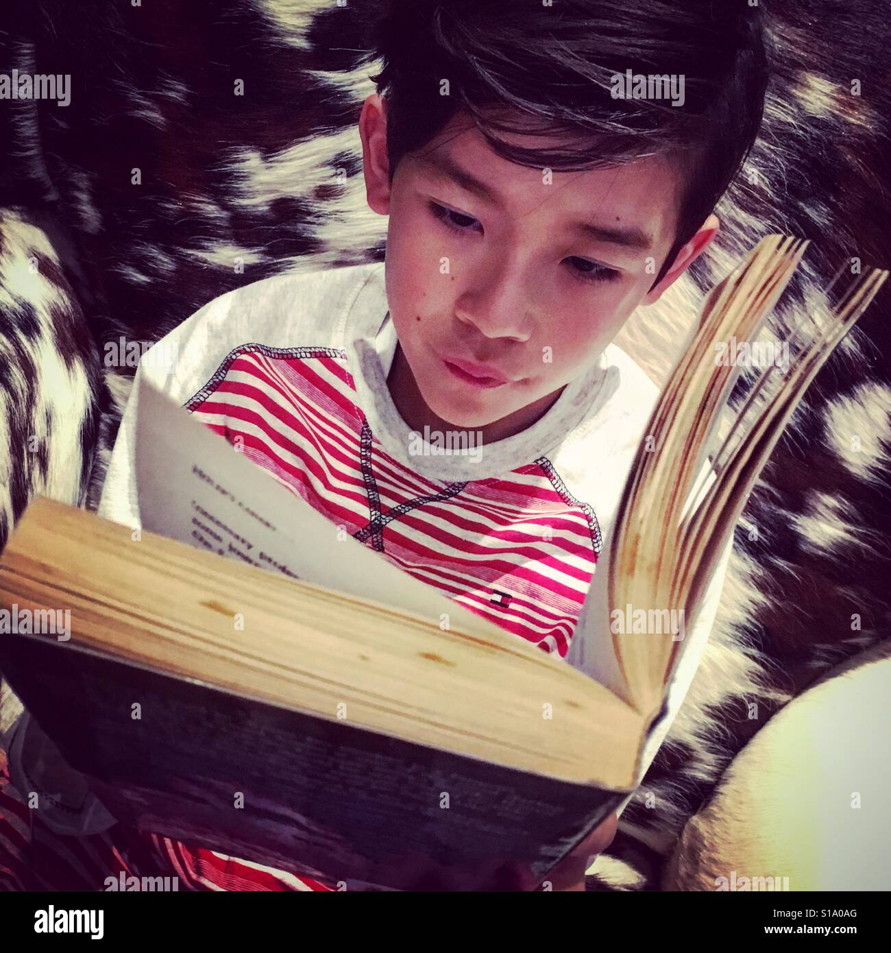 Reading boy - Smartphone Captured Stock Image