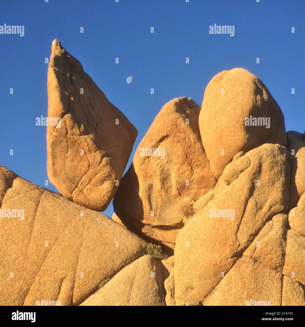 Granite spires and moon, Dawn, Joshua Tree National Park, California - Smartphone Captured Stock Image