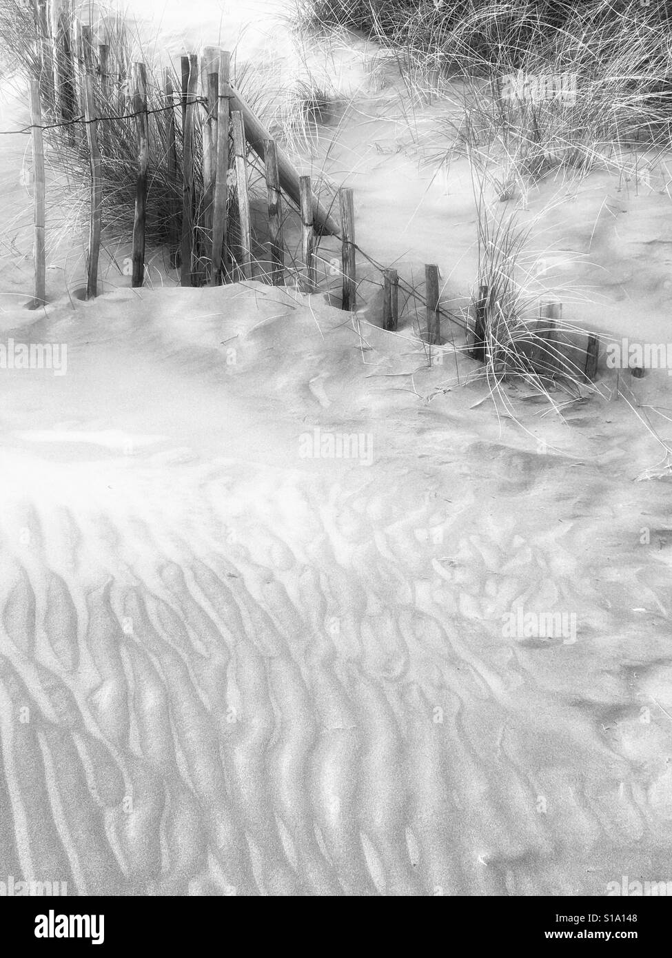 Black and white beach scene hi-res stock photography and images - Alamy
