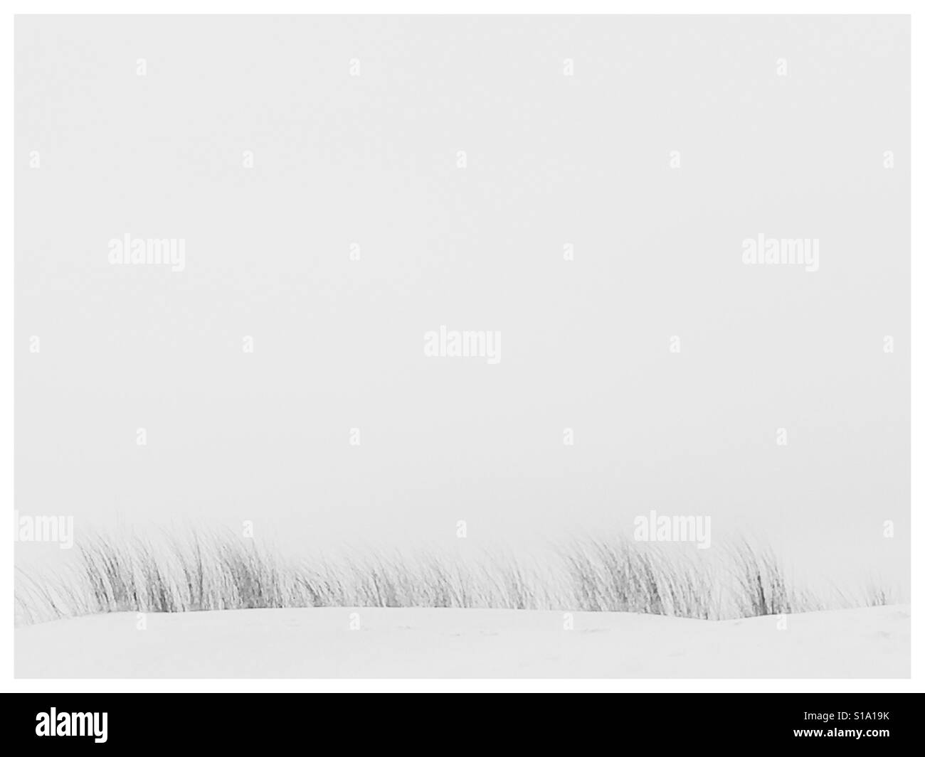 The dune at Duna de Cresmina, Portugal. - Smartphone Captured Stock Image