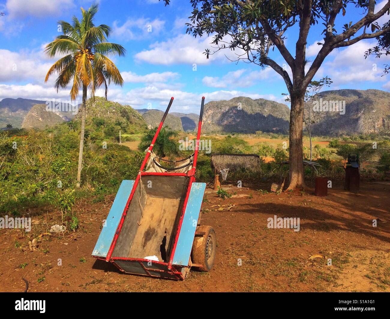 Famous Cuban tobacco area, Valley de Vinales,Pinar del Rio,Cuba - Smartphone Captured Stock Image