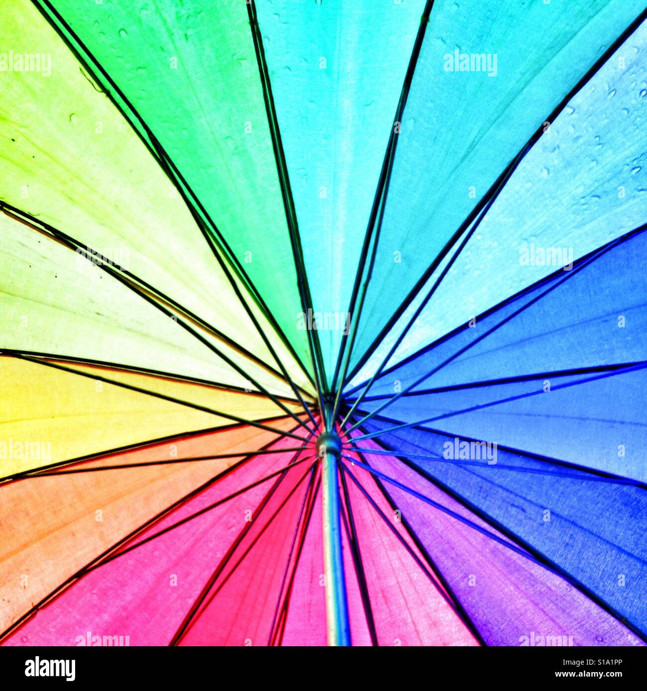 Colourful umbrella - Smartphone Captured Stock Image