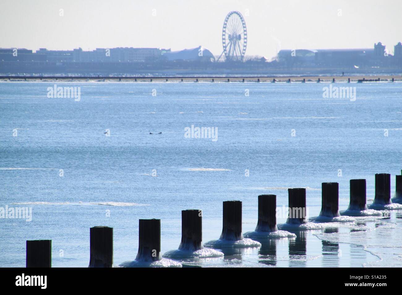 Frozen Lake Michigan reflects the skyline and Navy Pier of the City of Chicago Stock Photo