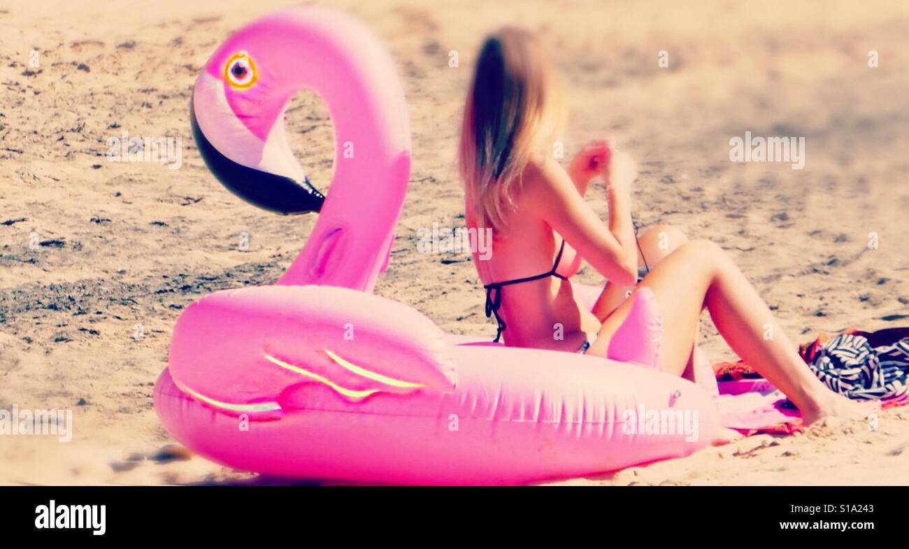 ...my pink flamingo... - Smartphone Captured Stock Image
