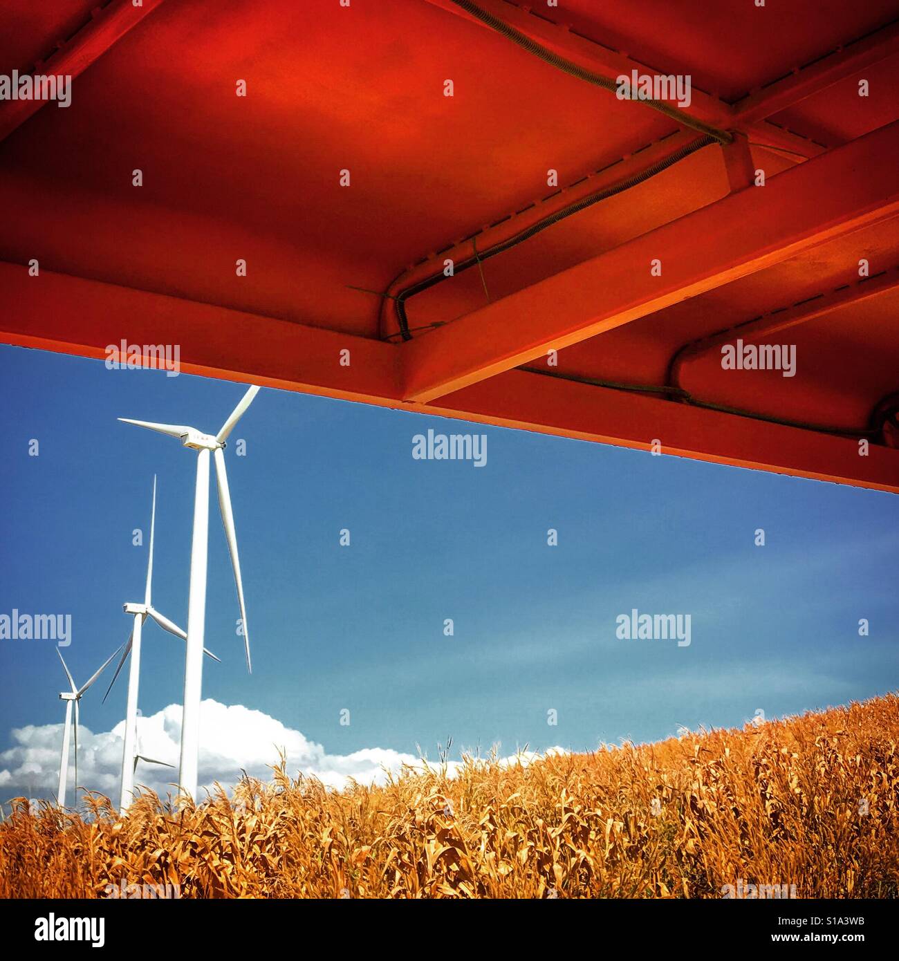 Giant white windmills standing in the golden field Stock Photo Alamy