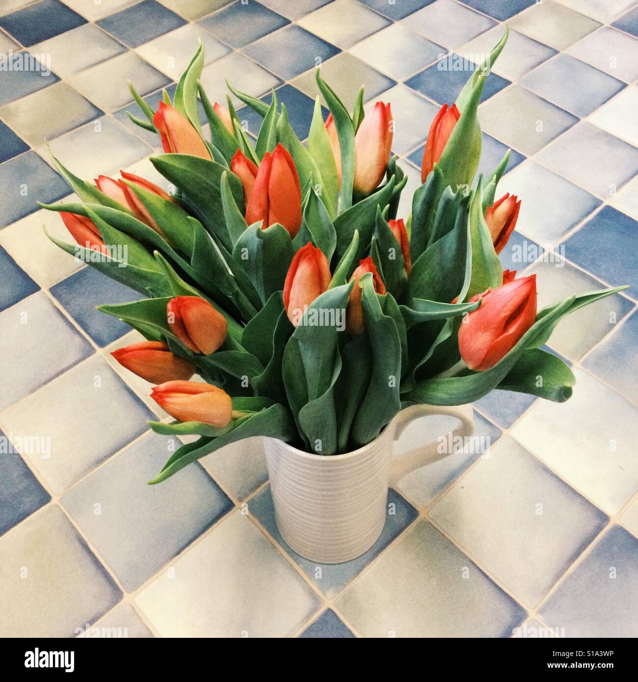 Bunch of red tulip flowers - Smartphone Captured Stock Image