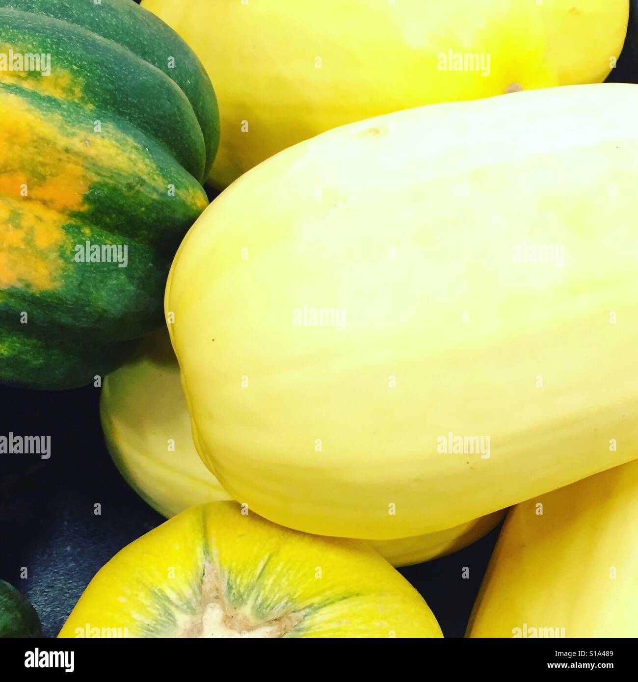 Spaghetti squash by K.R. Stock Photo