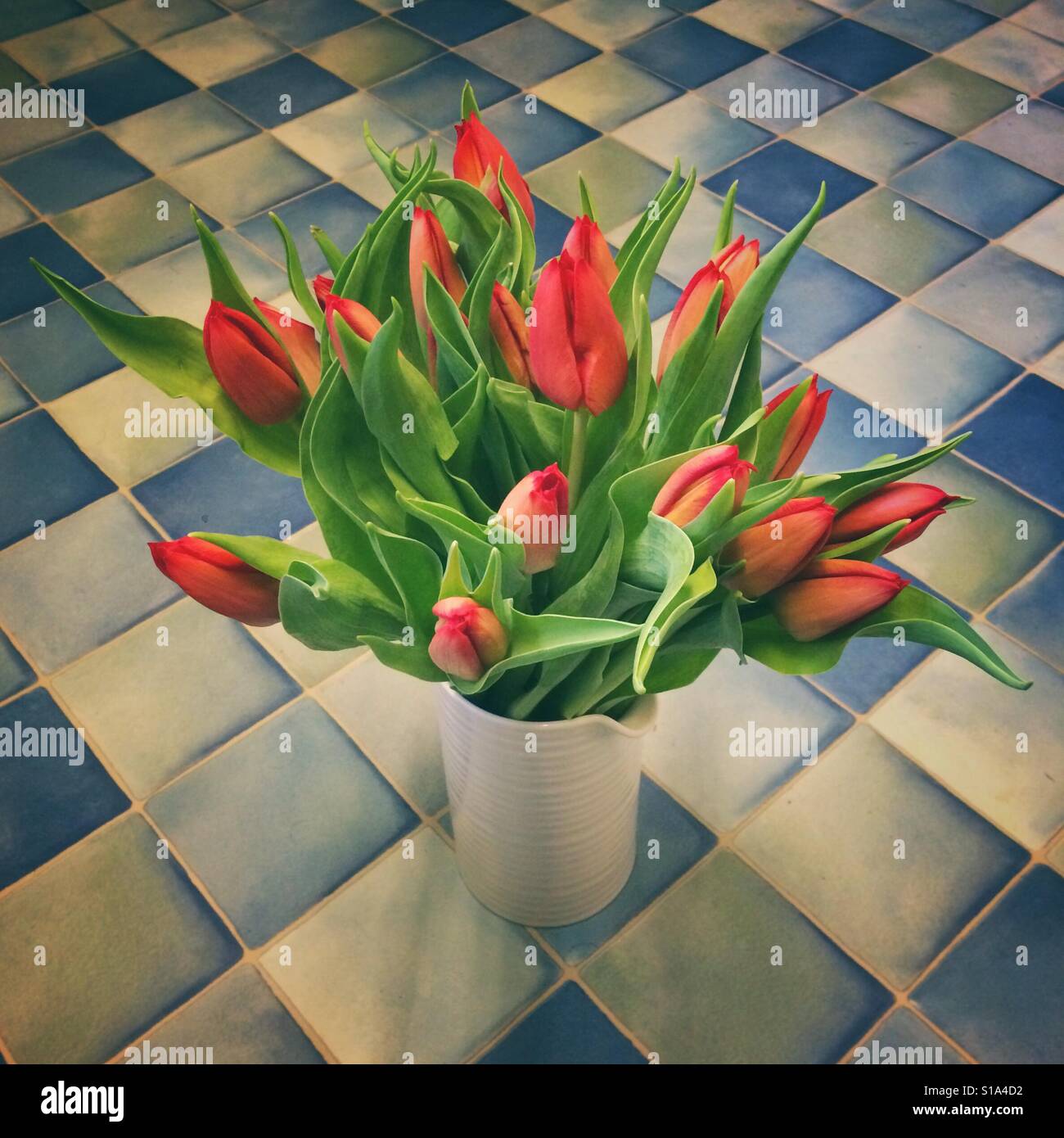 Red tulip flowers - Smartphone Captured Stock Image