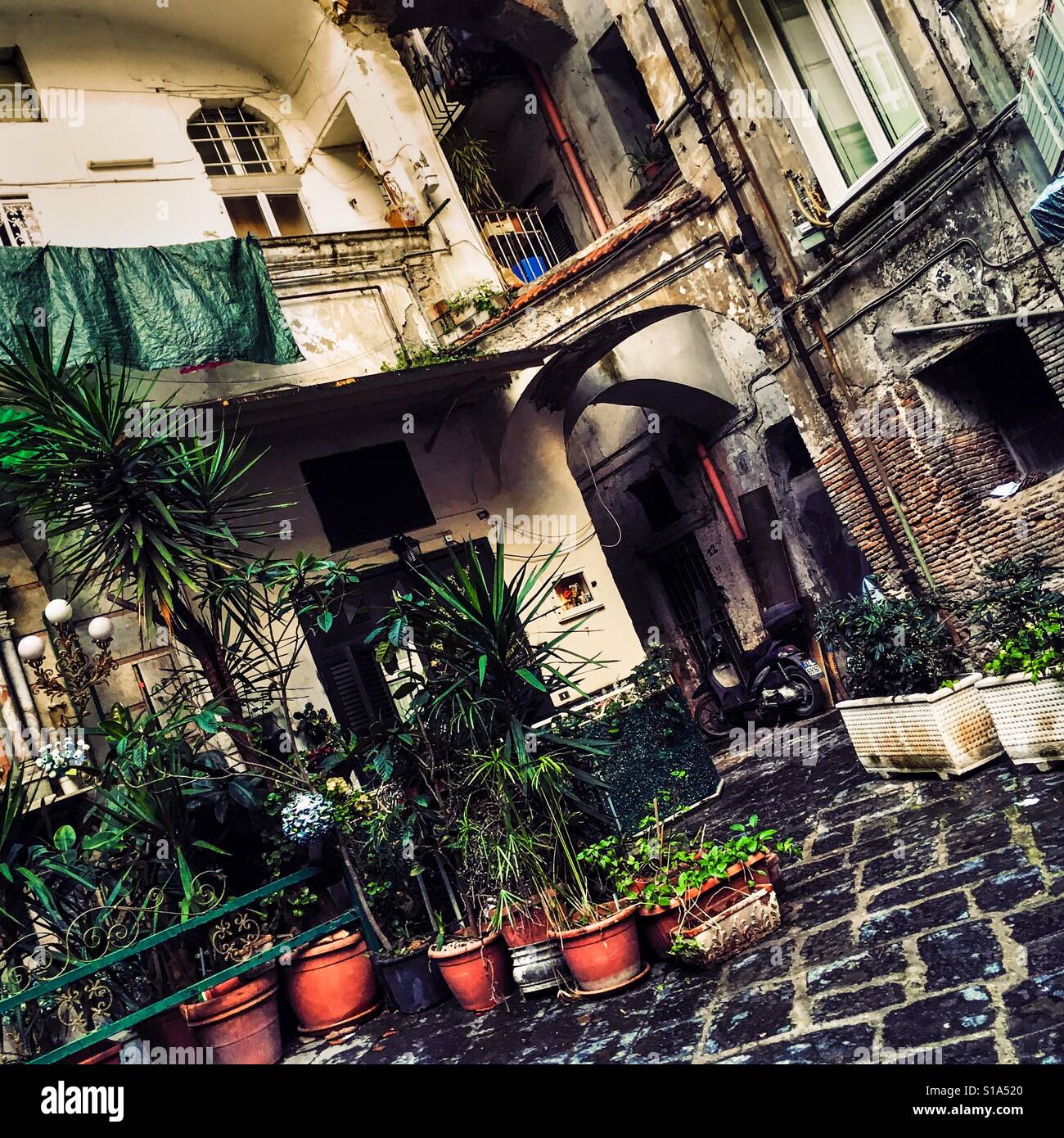 Mediterranean plants in pots and a scooter bike are seen in the backyard between neglected houses in the centre of Naples, Italy, 6 February 2017. Stock Photo