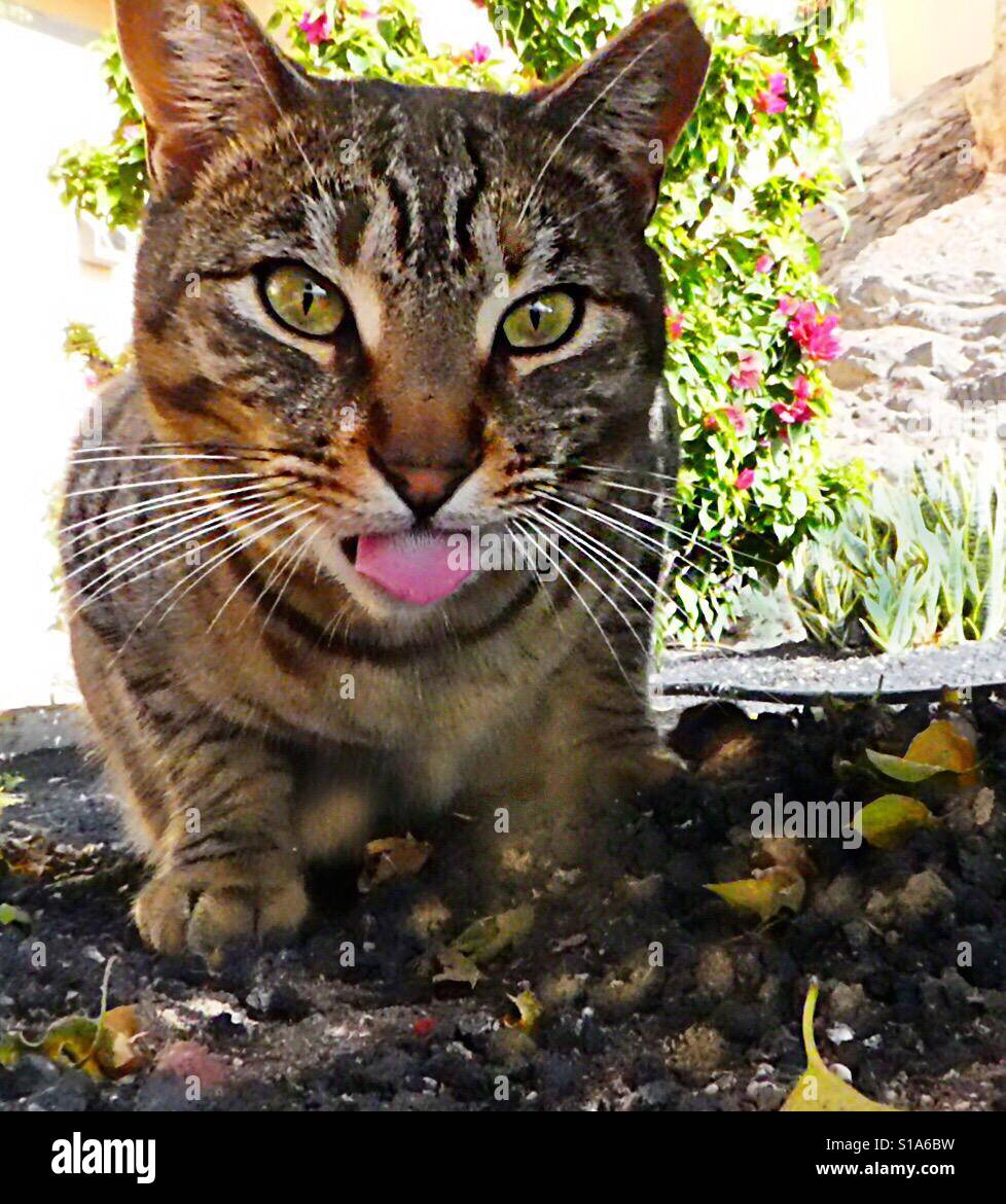 Everyday moment hi-res stock photography and images - Alamy
