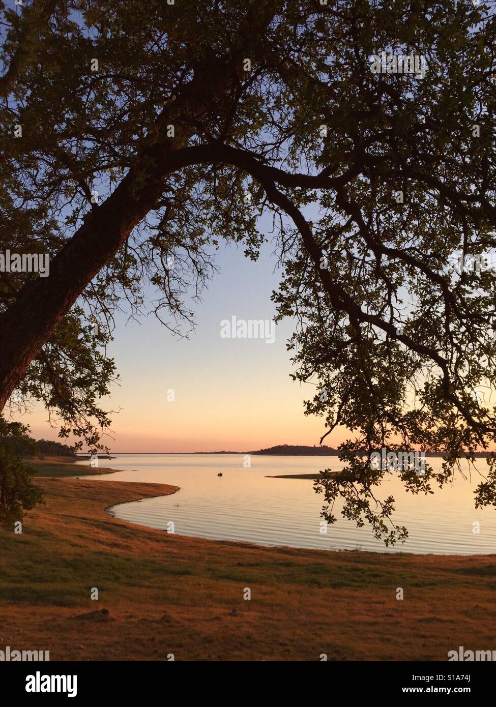 Looking at sunset through a tree on a calm lake in the spring. Folsom Lake, California. Stock Photo