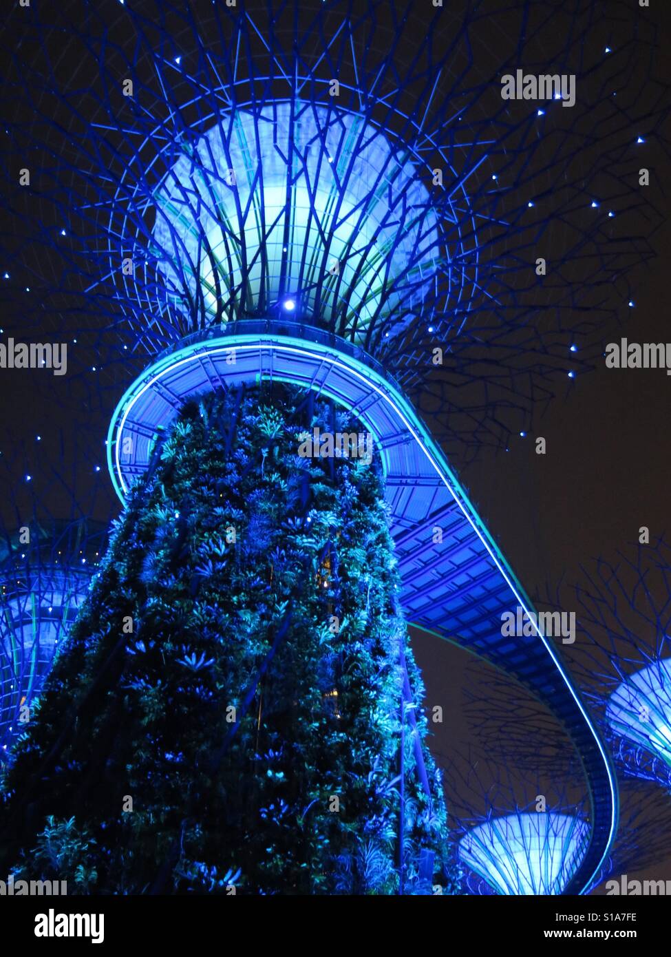 Supertree - Smartphone Captured Stock Image