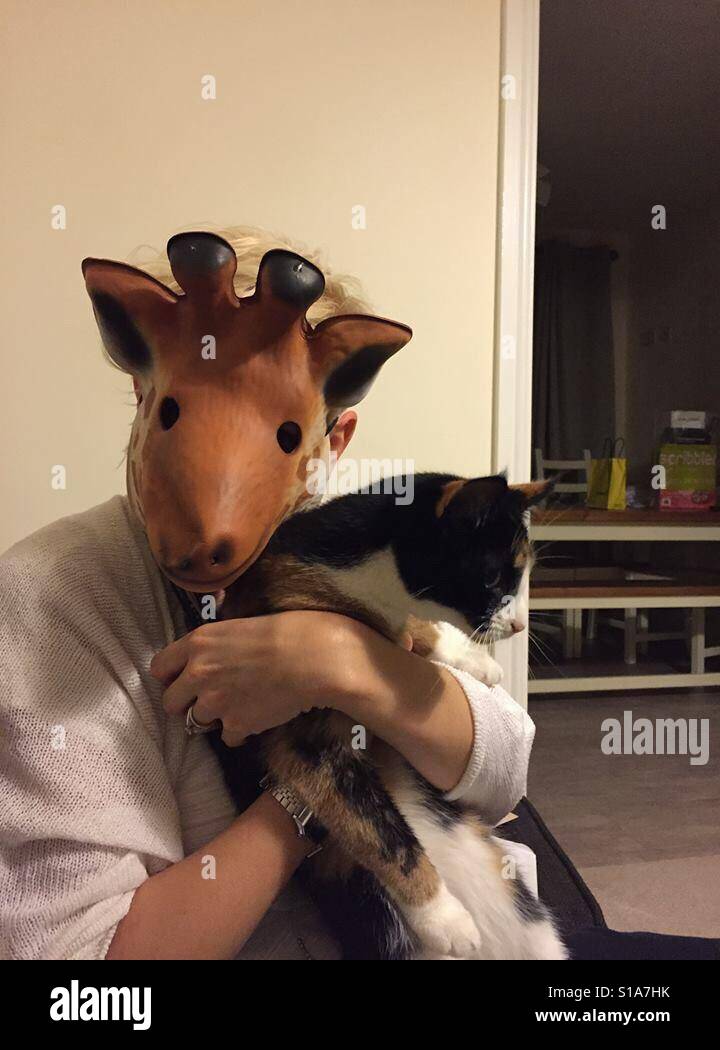 Just a giraffe holding a cat - Smartphone Captured Stock Image