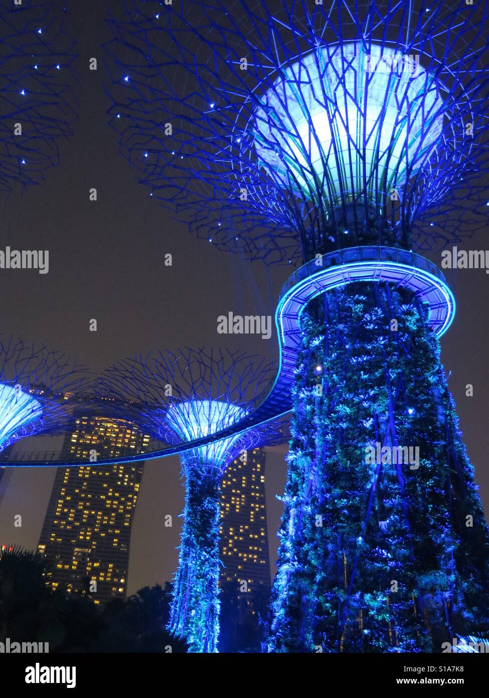 Singapore Supertrees - Smartphone Captured Stock Image