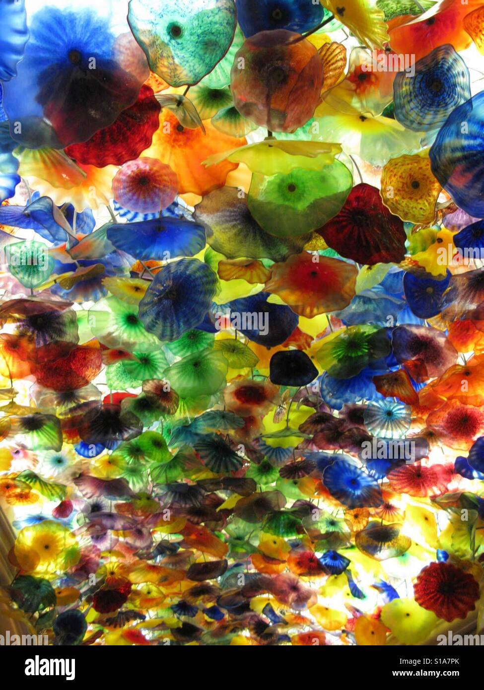 Glass flowers - Smartphone Captured Stock Image