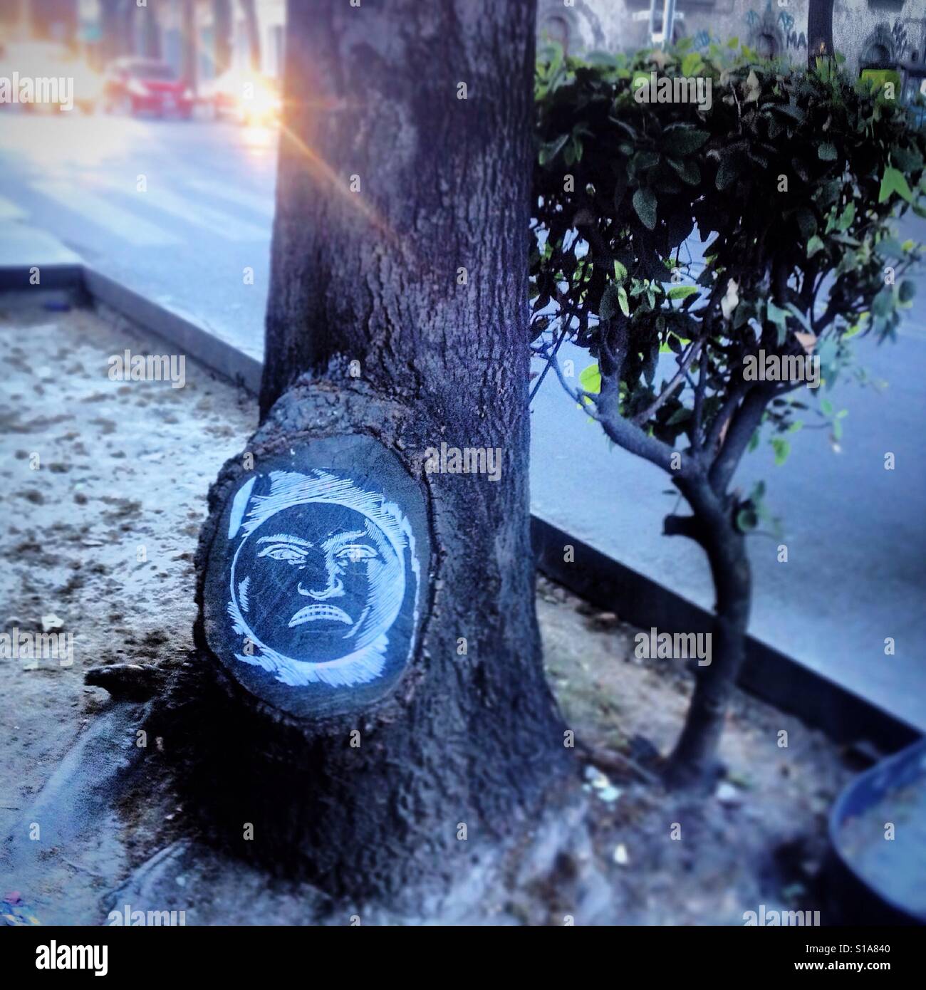 An angry sun is painted on a tree in Mexico City, Mexico Stock Photo