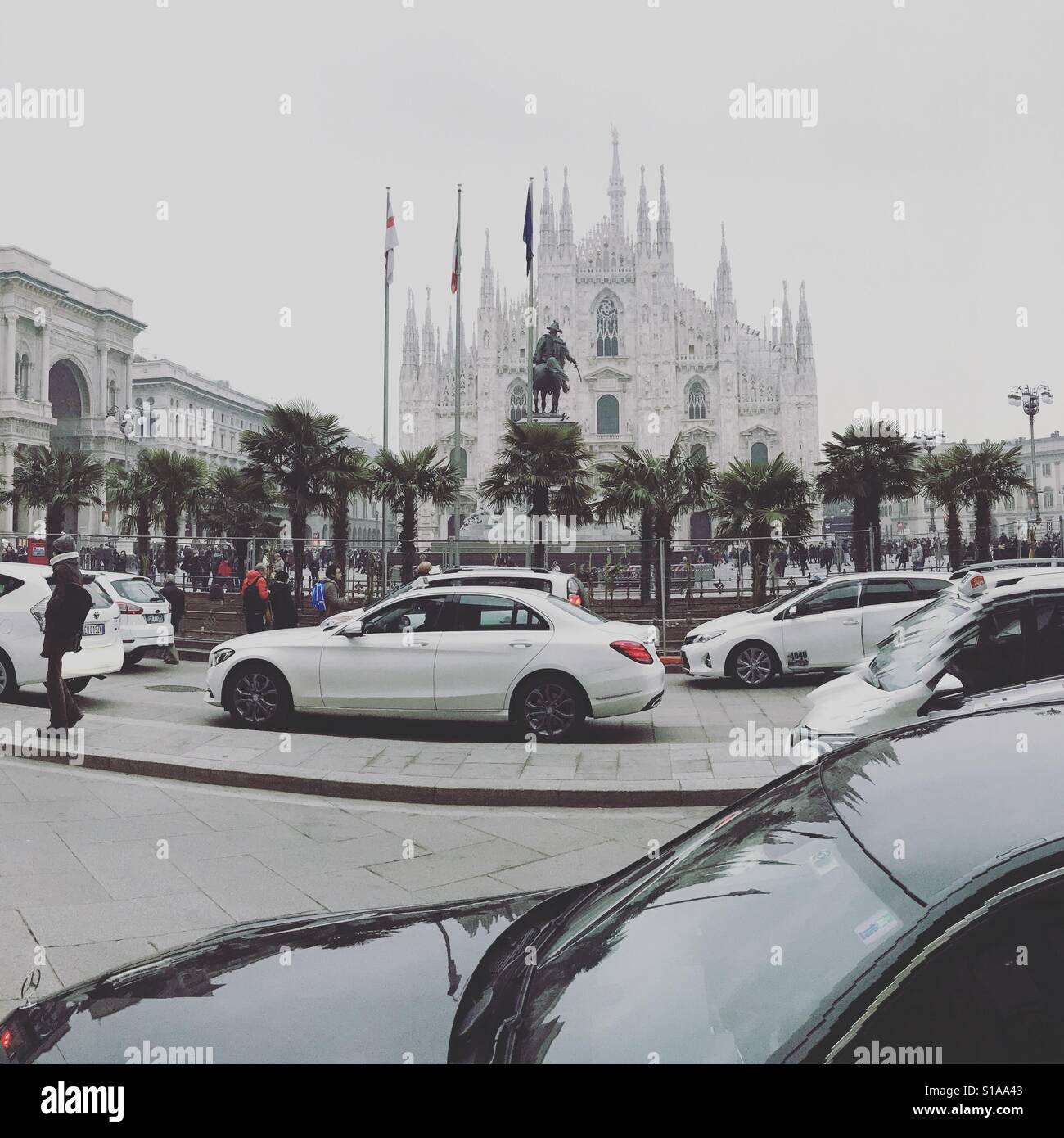Palms in Milan Duomo square - Smartphone Captured Stock Image