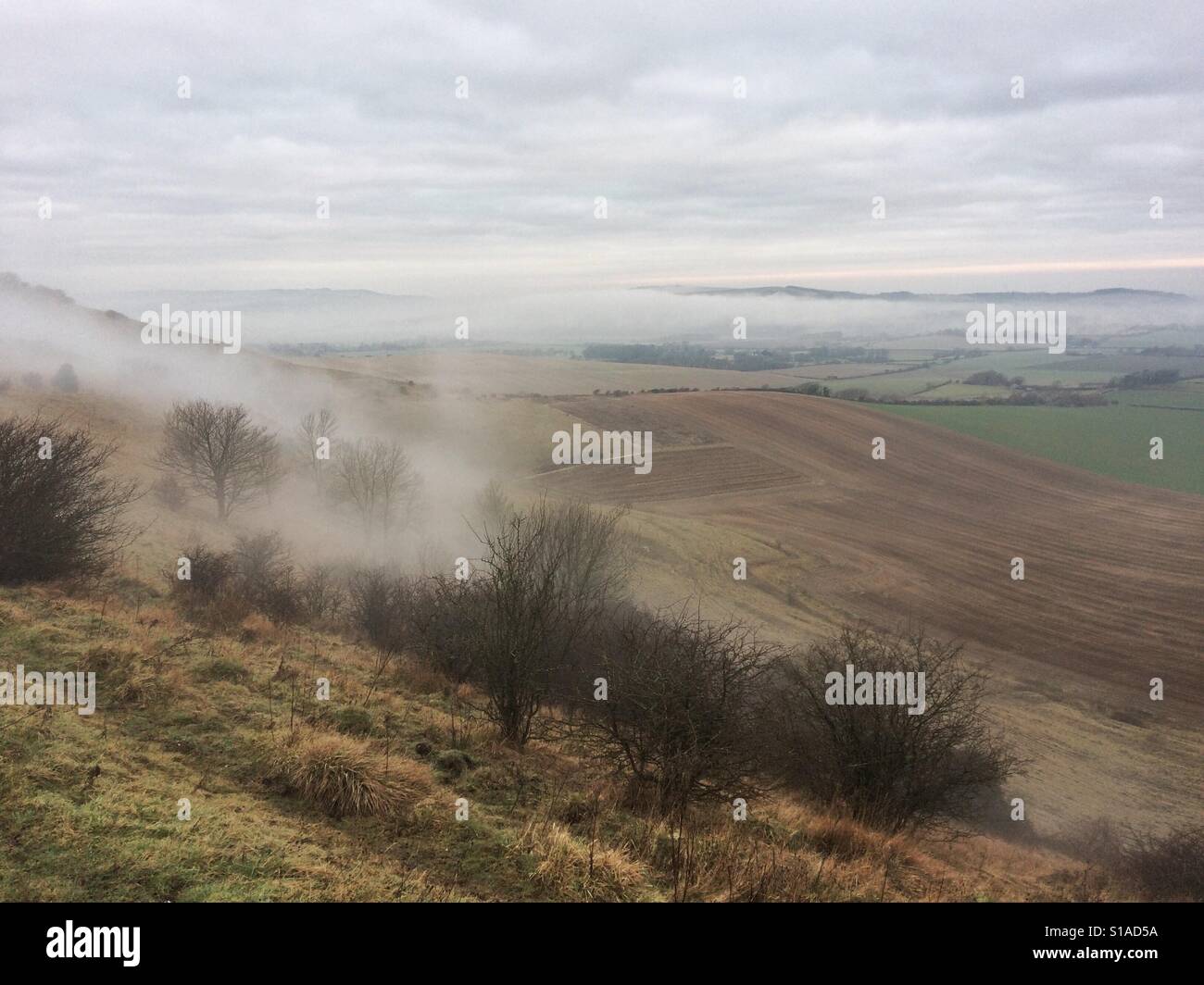 South Downs near Lewes, East Sussex on a misty winter morning. Stock Photo
