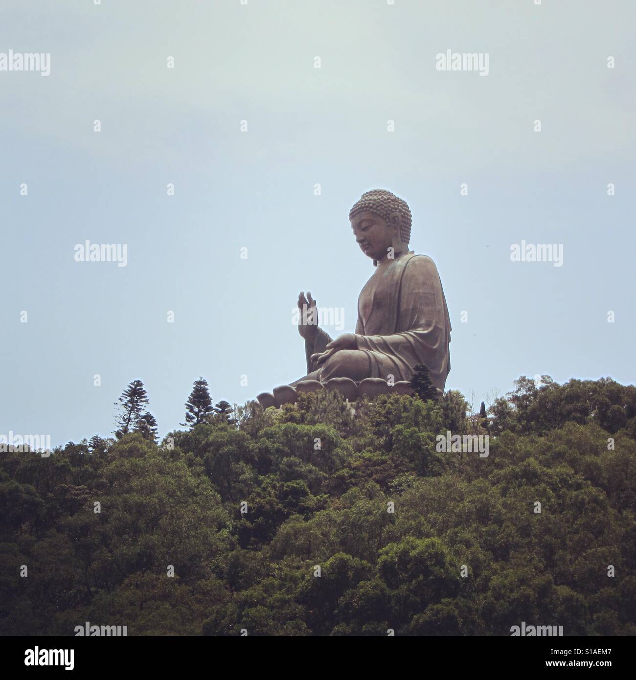 Tian Tan Buddha - Smartphone Captured Stock Image