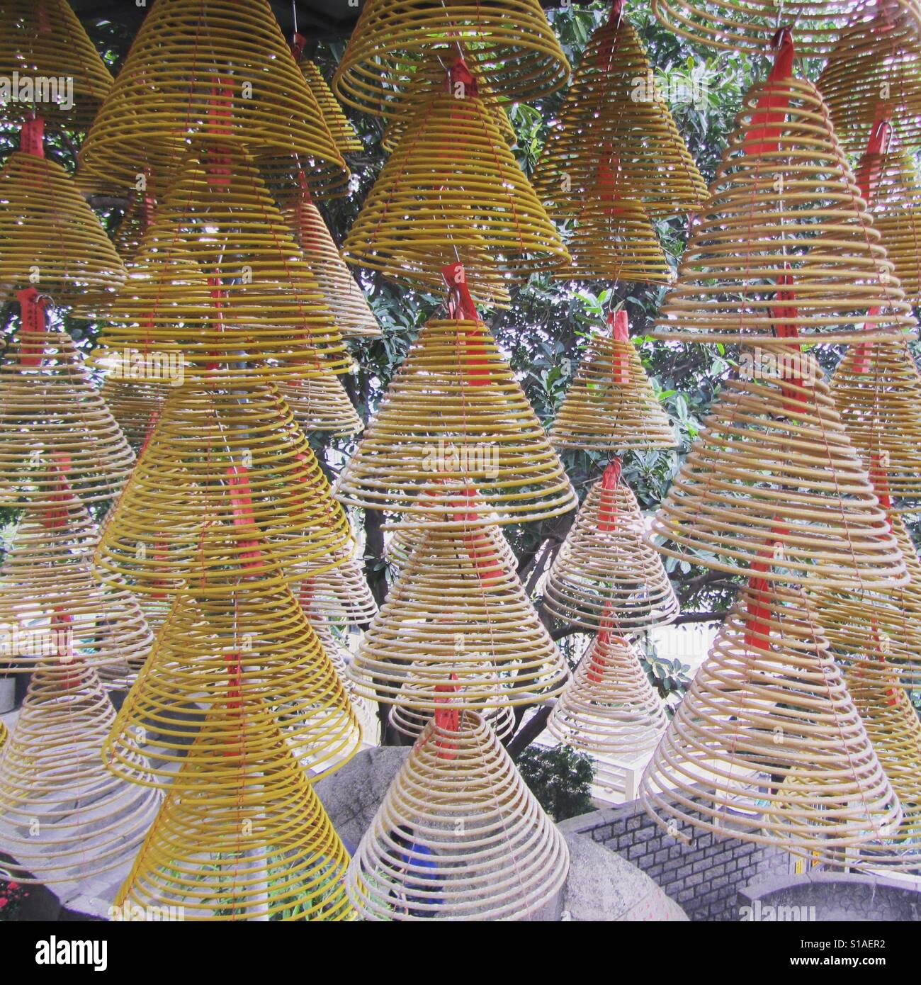Incense spirals - Smartphone Captured Stock Image