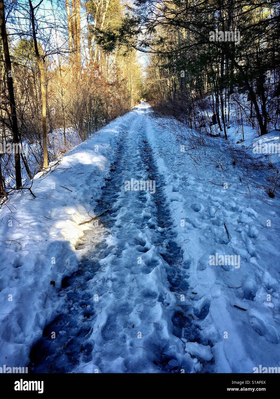 Snowy hiking trail Stock Photo