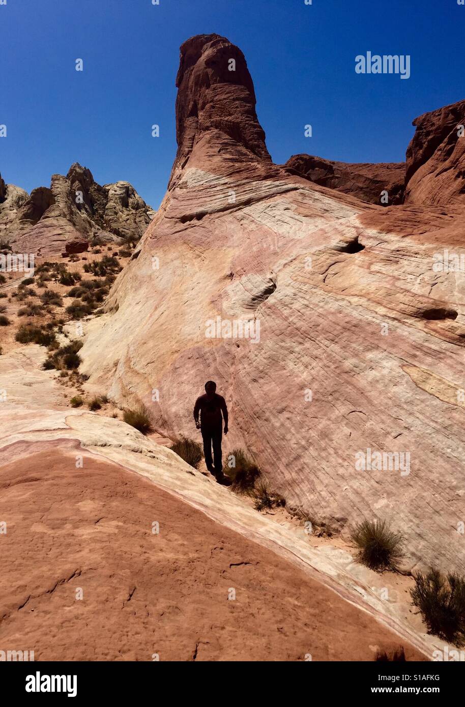 Hiking - be healthy - Smartphone Captured Stock Image