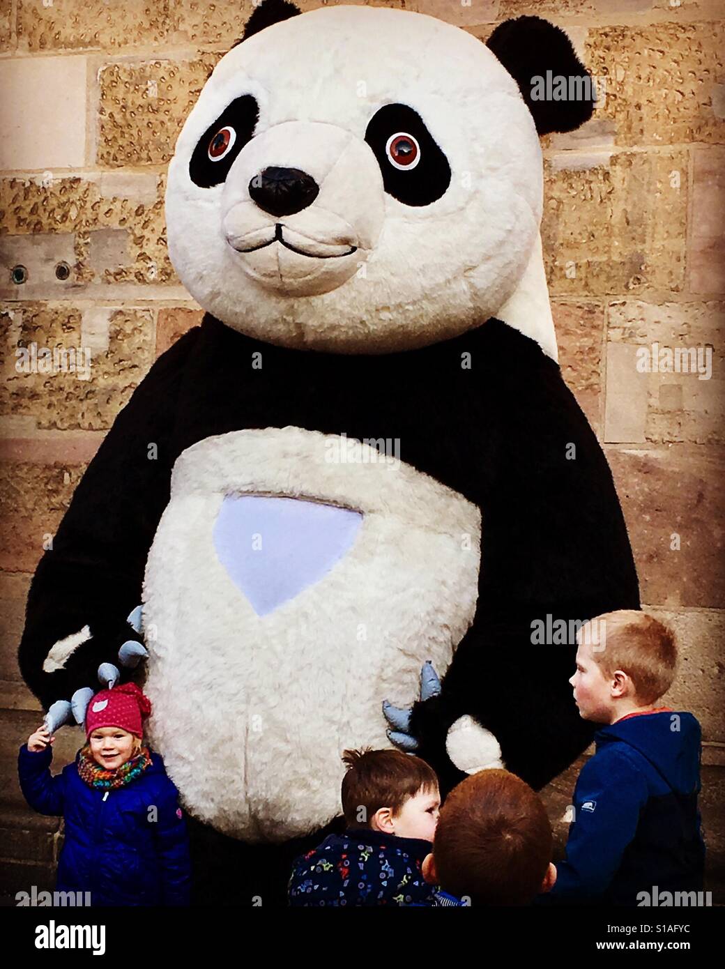 Huge Panda in Nuremberg, Germany - Smartphone Captured Stock Image