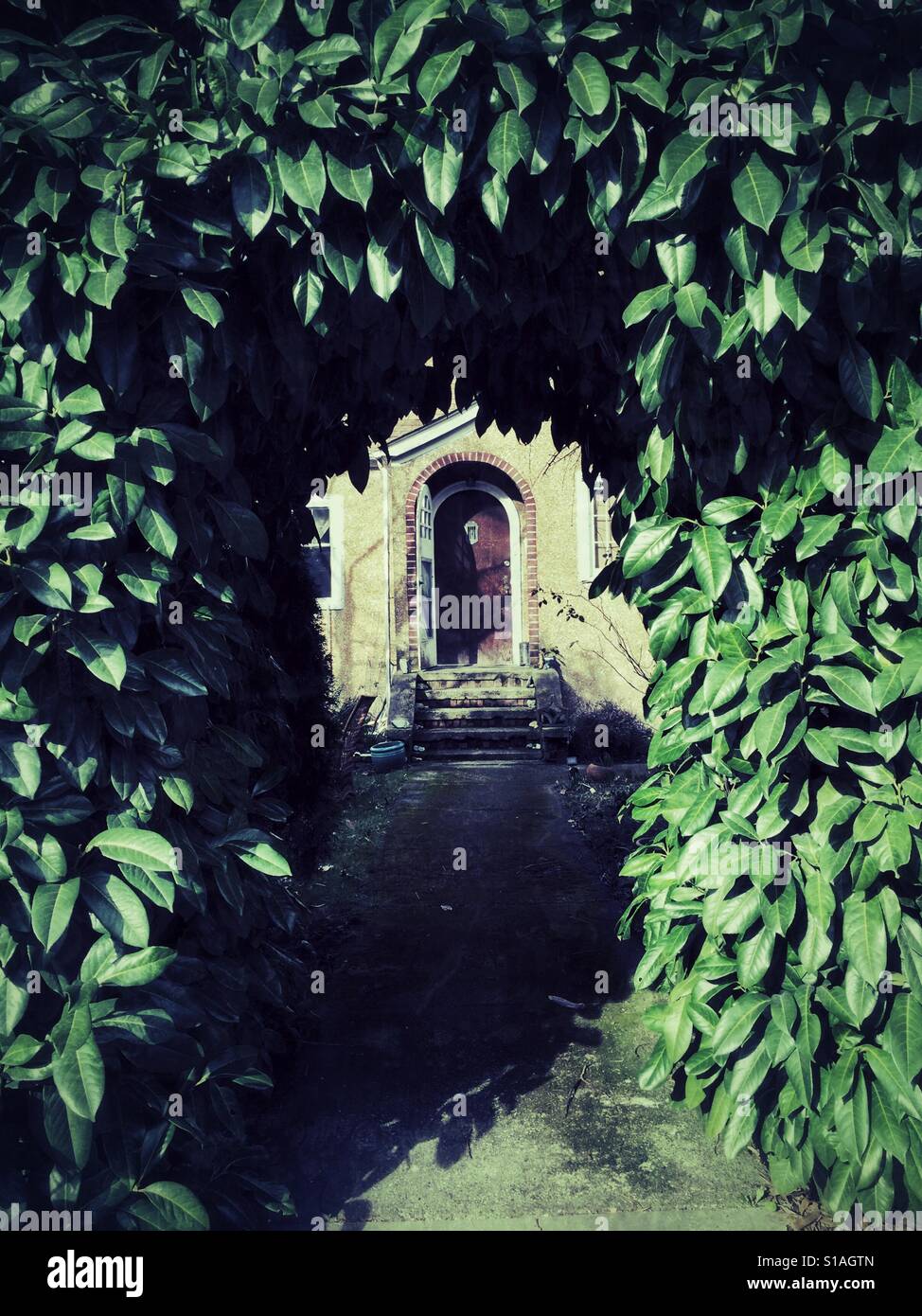 Doorway of an old house seen through the tree arch - Smartphone Captured Stock Image