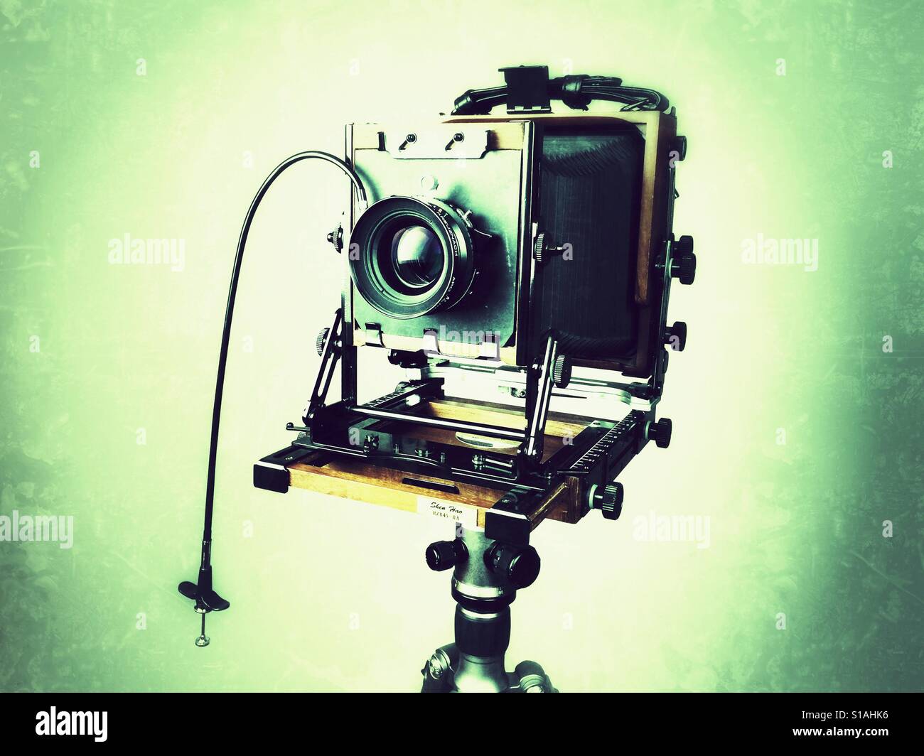 Modern analog best sale camera