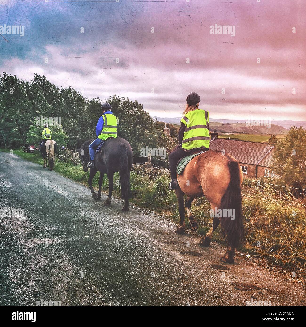 Three riders on horseback, Cheshire, UK - Smartphone Captured Stock Image