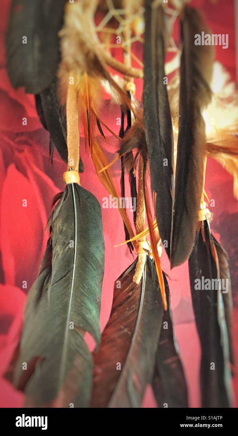 Feathers - Smartphone Captured Stock Image