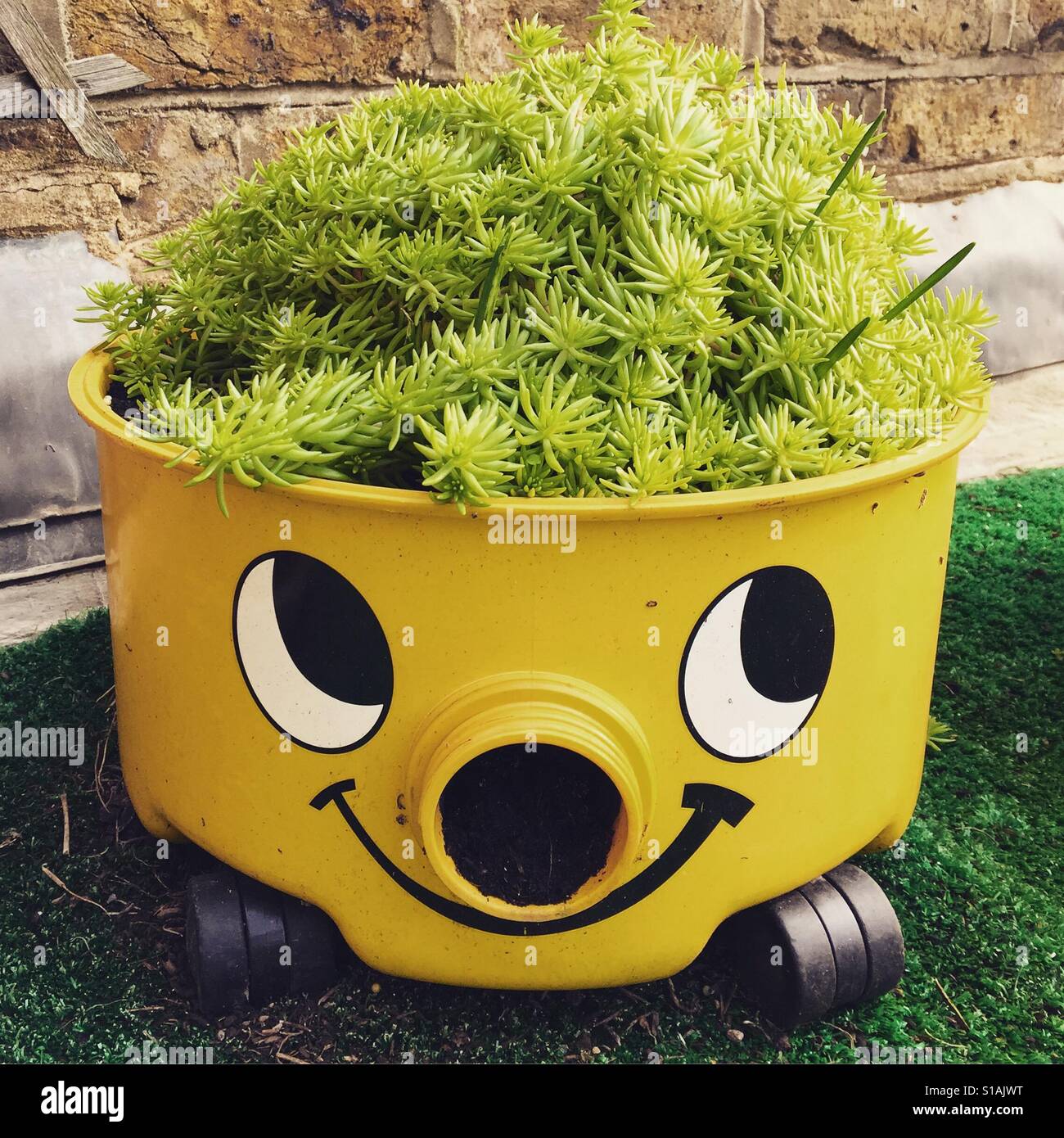 Henry plant pot Stock Photo