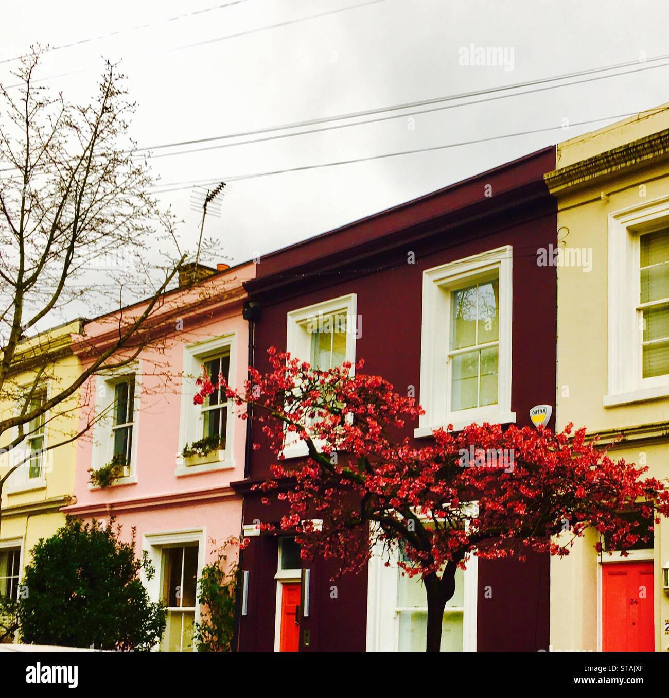 Notting Hill houses in London Stock Photo Alamy