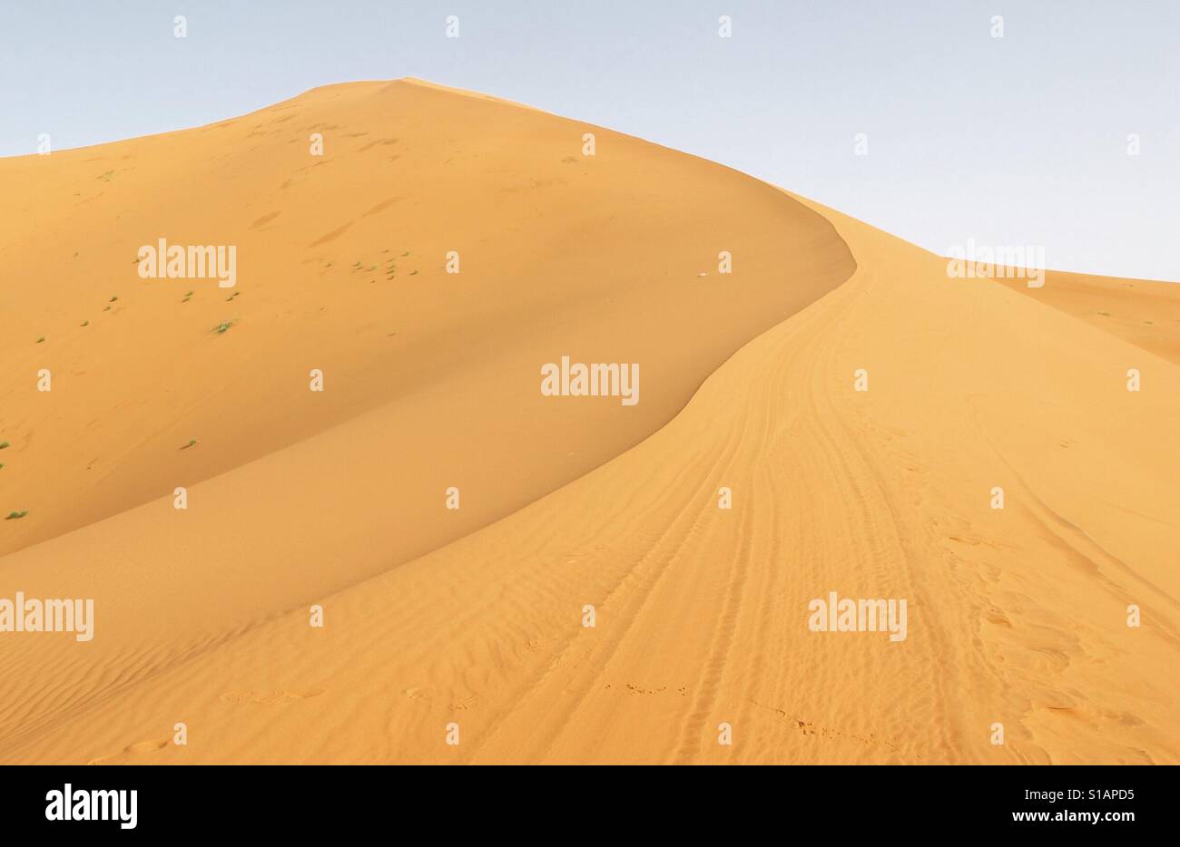 Sand dune in the Sahara - Smartphone Captured Stock Image