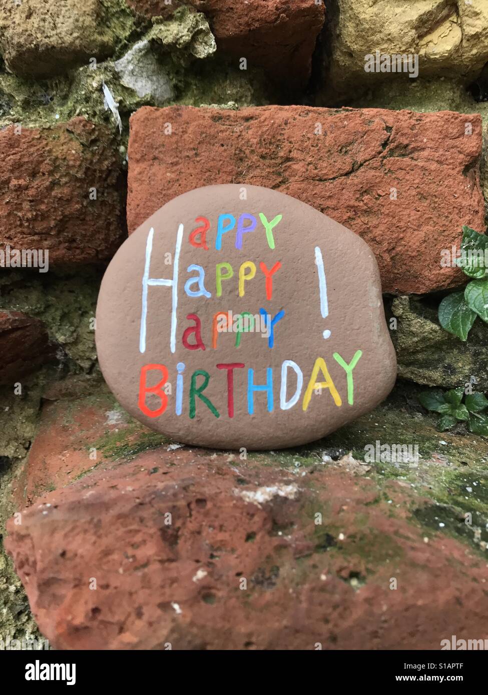 Happy Birthday Stein