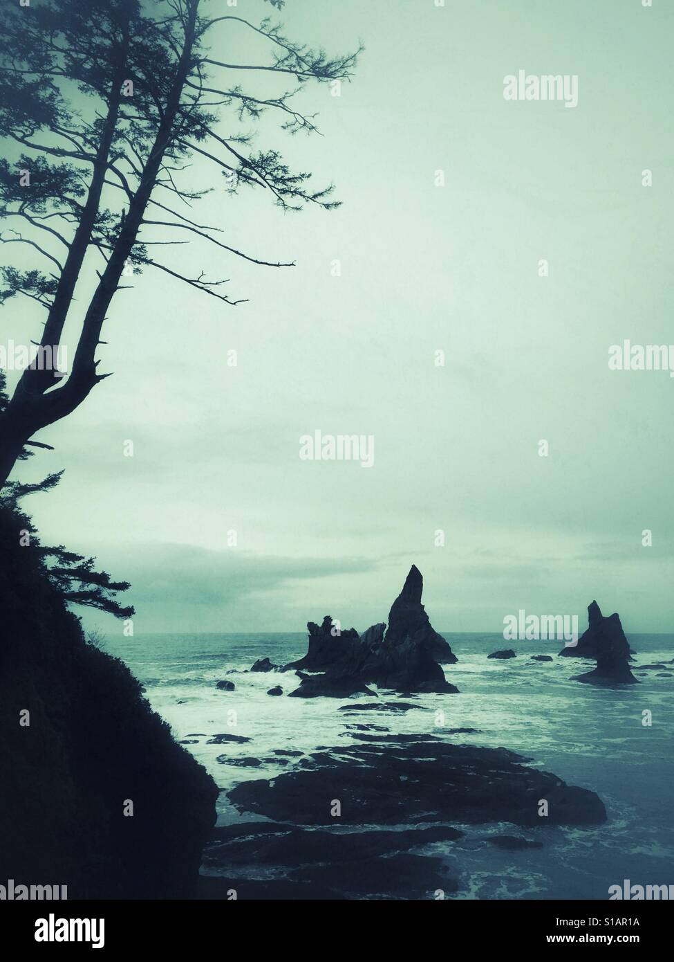 Sea stacks hammered by tides of Pacific Ocean near Shi Shi Beach on Olympic Peninsula, Washington State - Smartphone Captured Stock Image