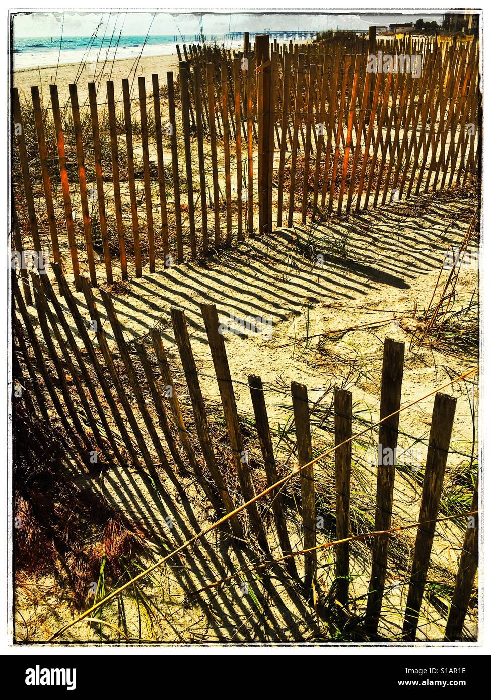 Wooden fence on beach Stock Photo Alamy